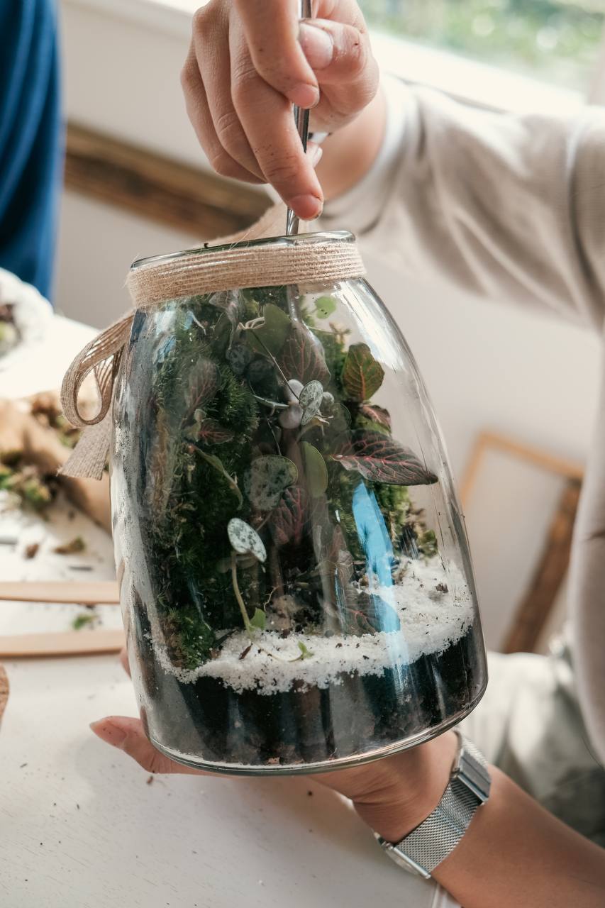 Kit terrarium renversé