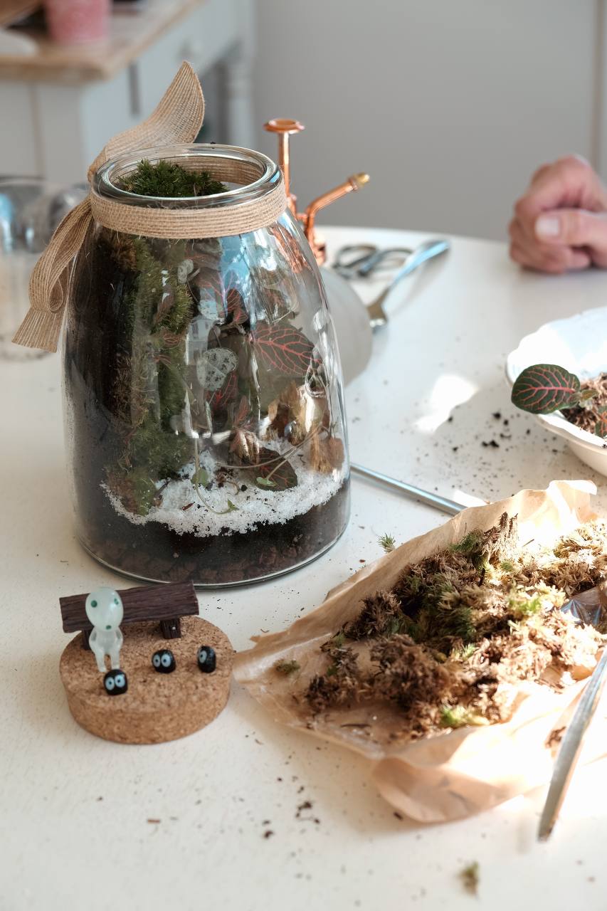 Kit terrarium renversé