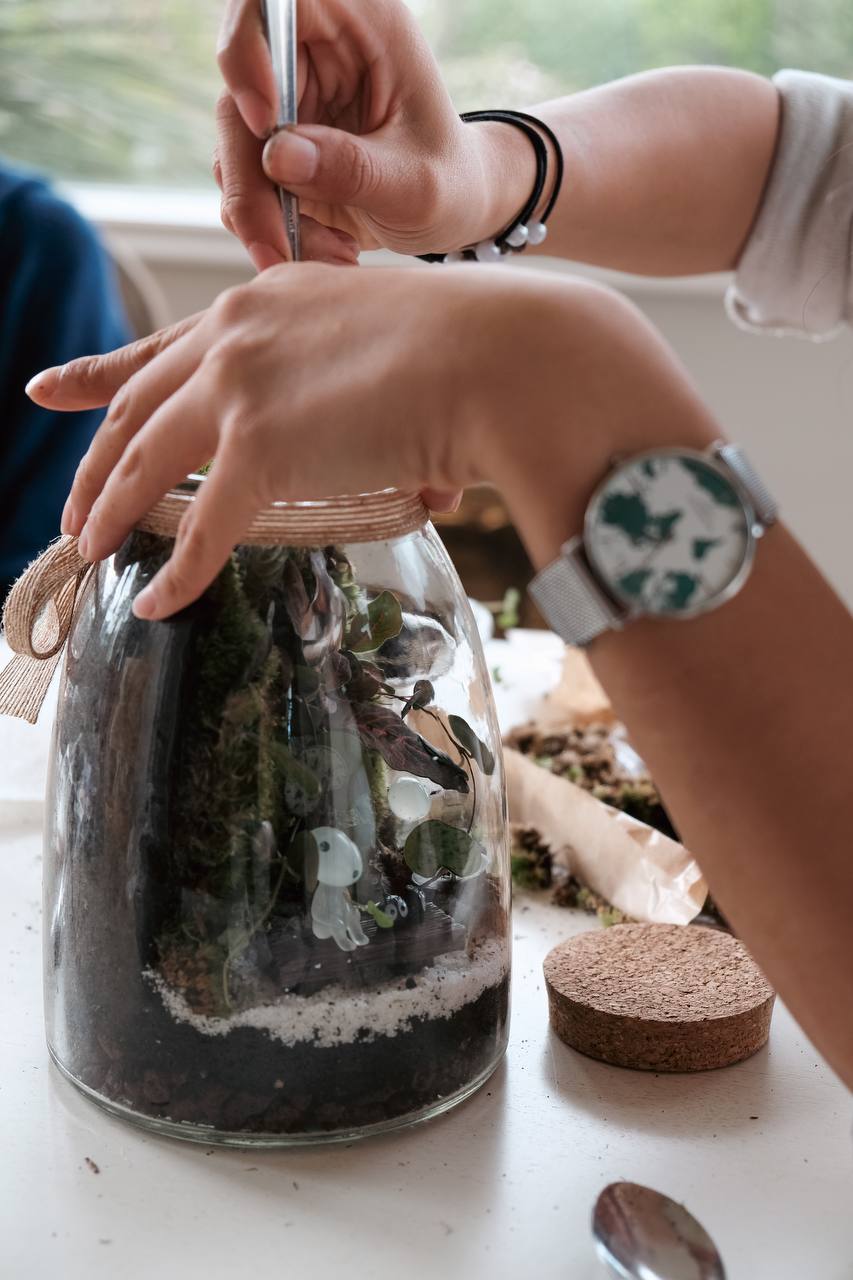 Kit terrarium renversé